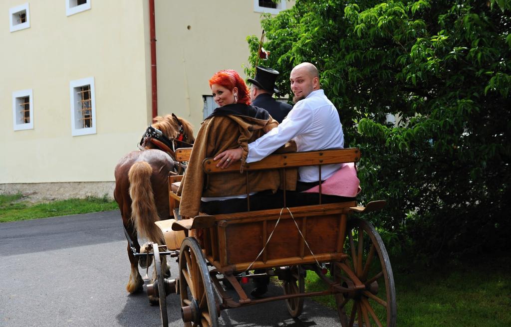 Penzion Zámek Rozsochatec Kültér fotó